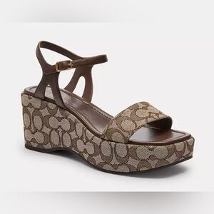 ISO Coach Maple Gale Wedge 7.5